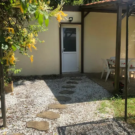 Les écureuils * Veyrines-de-Vergt