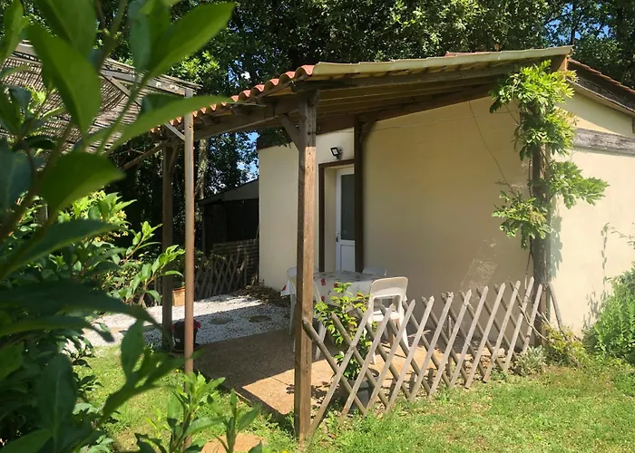 Couette-café Les écureuils